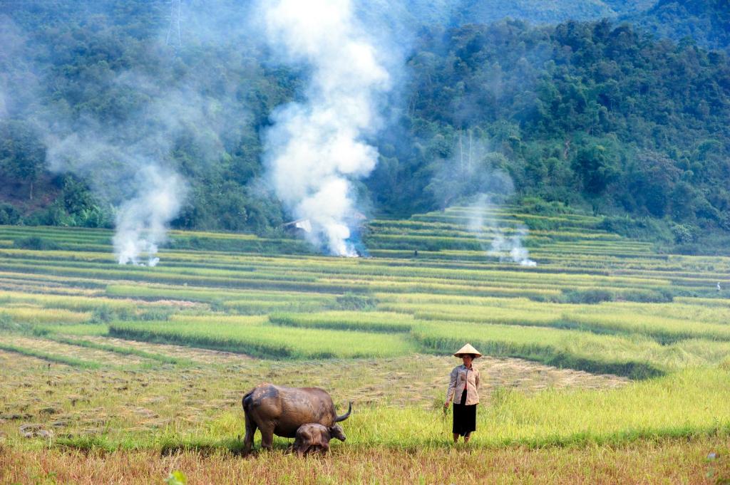 Thai House Heritage Pu Luong - 3