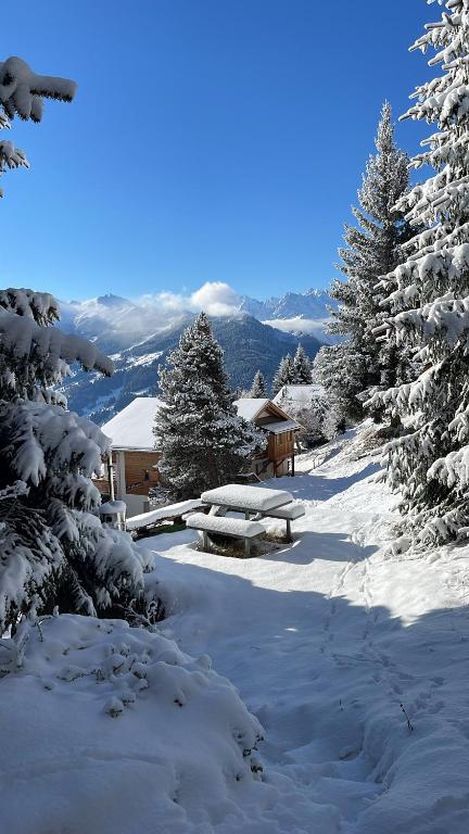 Master Bedroom - Verbier Chalet في فيربير: ممر مغطى بالثلوج مع طاولة نزهة وأشجار