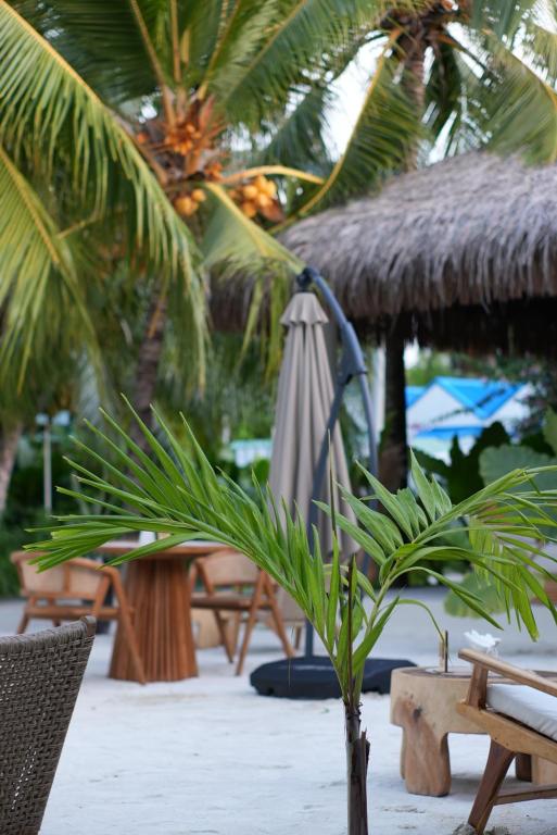 Palma De Maldives - View 11