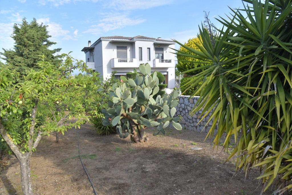 una casa con un mucchio di piante davanti di Cactus luxury apartment oreoi a Oreoi