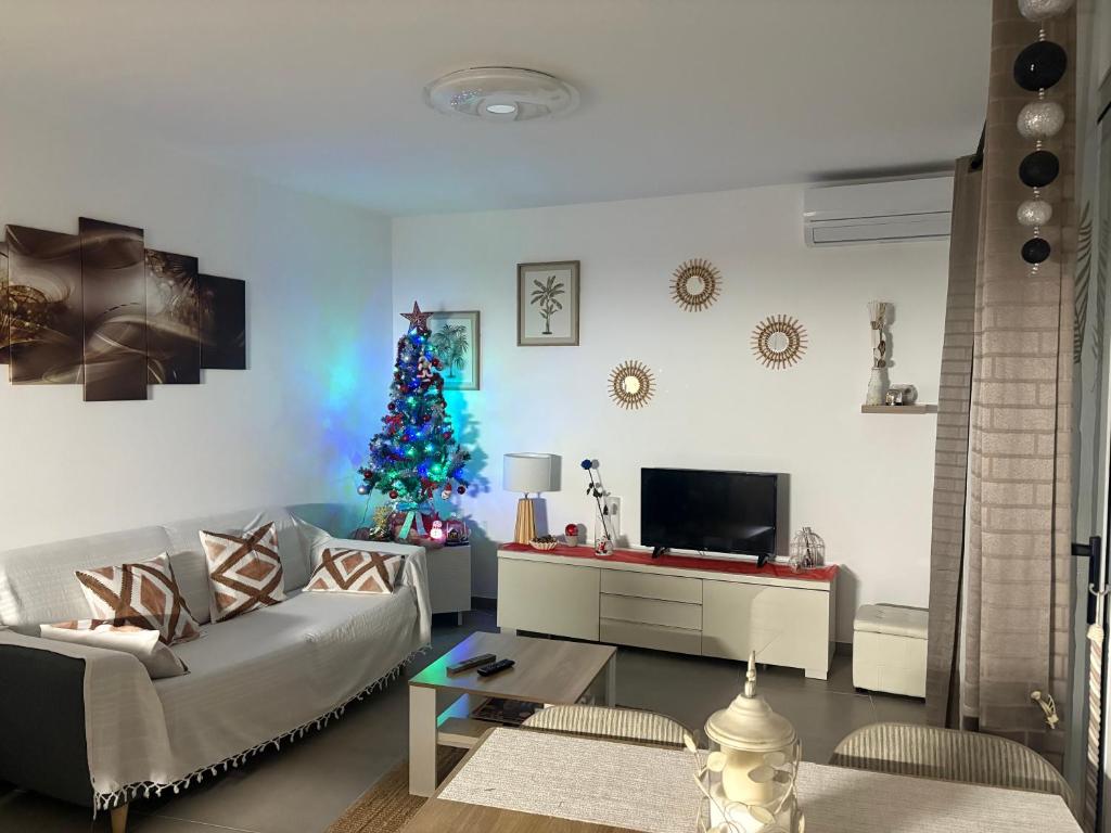 普朗德拉图尔Appartement climatisé avec jardin 4 personnes的客厅里有一棵圣诞树和一张沙发