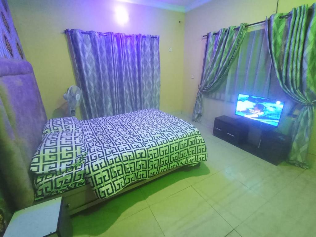 a bedroom with a bed and a tv in it at GA guest House in Ibadan