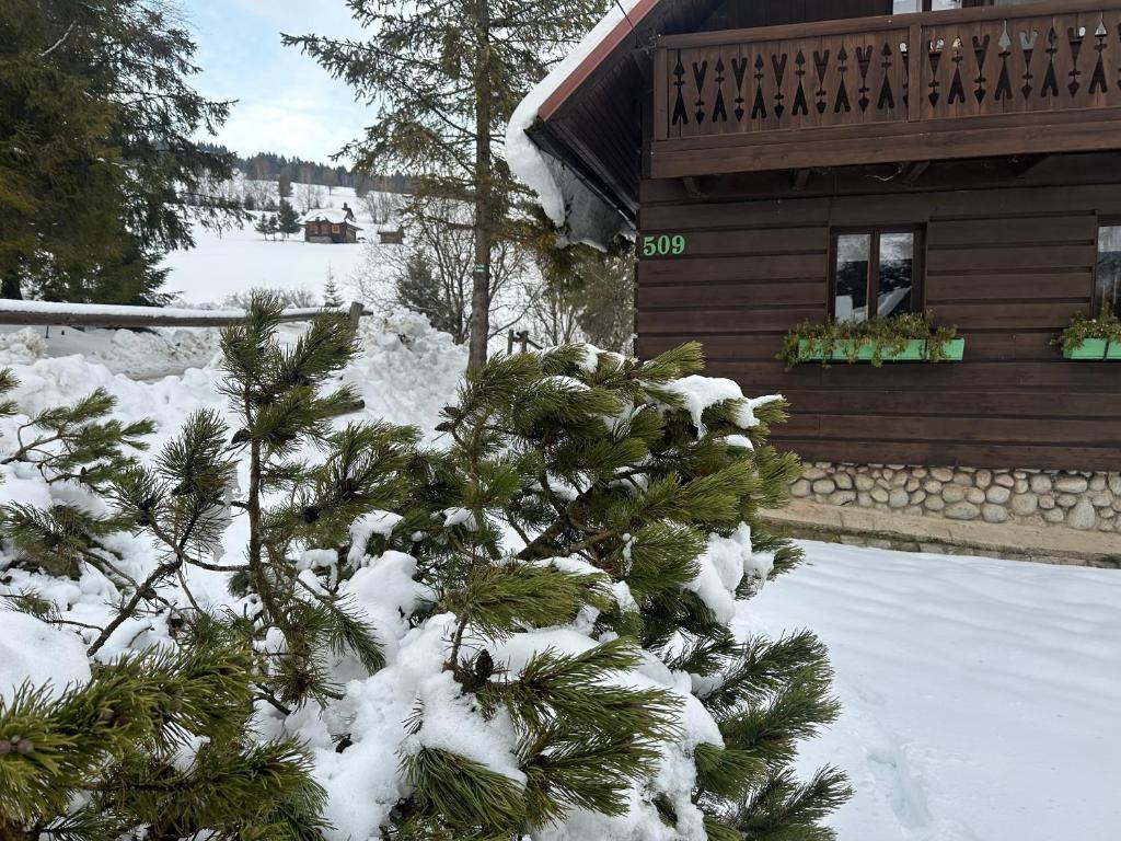 Το Summit Chalet Ždiar τον χειμώνα