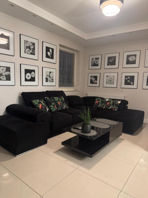 Spanko w centrum - 4