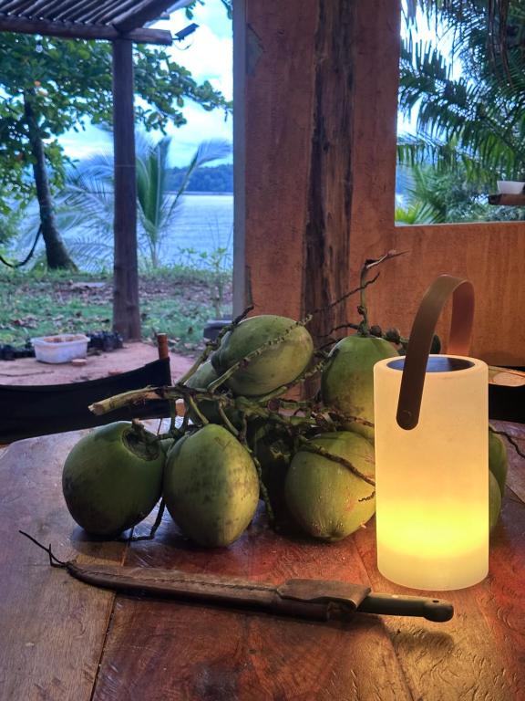 圣卡塔利娜岛AmparitoCamp的桌子上摆着一堆青椰子和一根蜡烛。