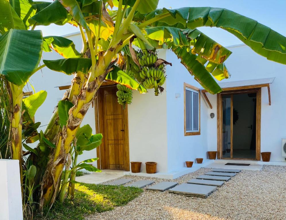 Zahrada ubytování Luxury LIONS VILLAS ZANZIBAR - with Private Cook&Infinity Pools