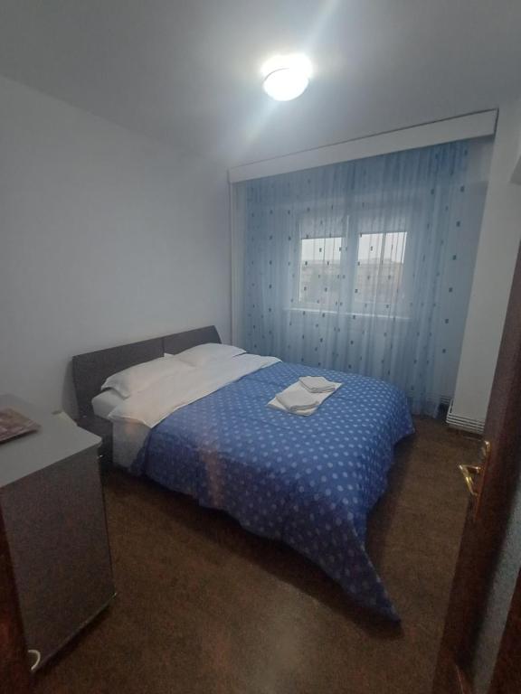 克拉约瓦Apartament Rovine的一间卧室，里面有一张蓝白相间的床和一扇窗户。