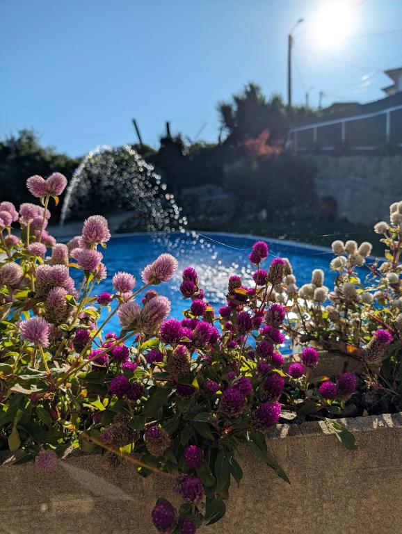 a bunch of purple flowers in front of a fountain at 3HOUSE Sol na Eira em Paredes in Rebordosa