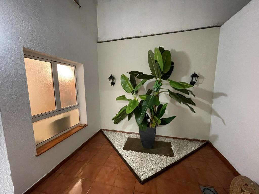 Gallery image of Nana's Dream in Teror