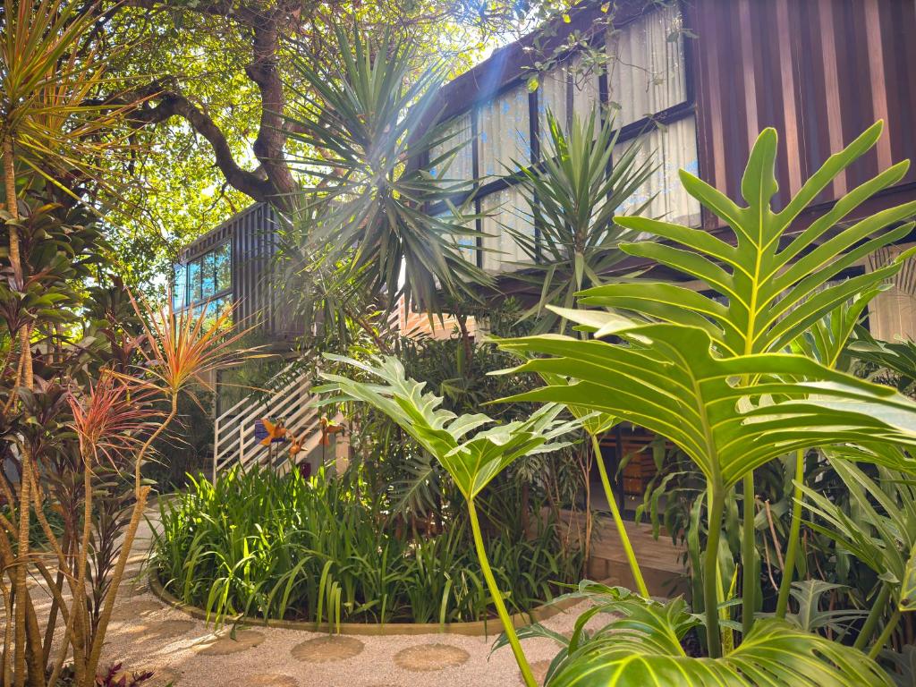 a garden with lots of plants in front of a building at Pousada Unaí in Porto De Galinhas