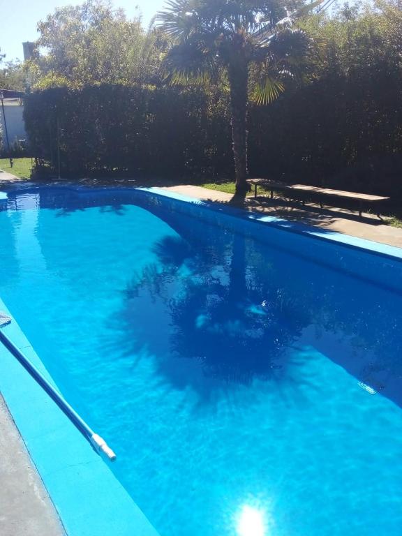 a blue swimming pool with a palm tree in the background at La Serena in Azul