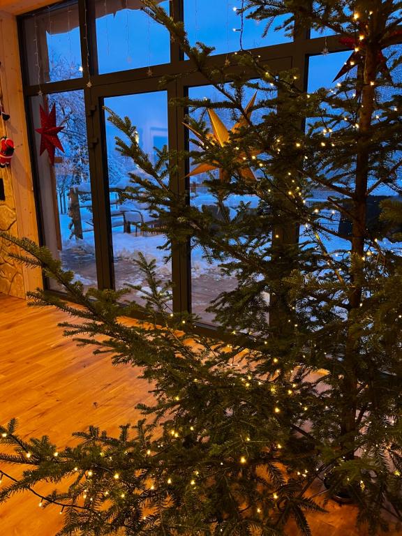 Φωτογραφία από το άλμπουμ του Eno Chata 