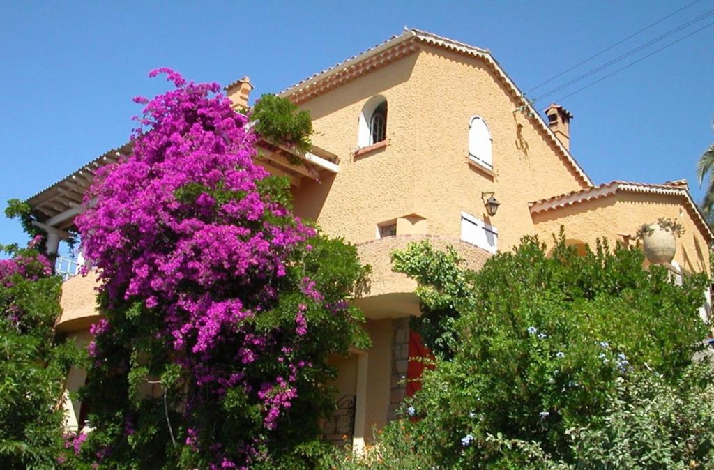 Κήπος έξω από το Villa Les Dauphins