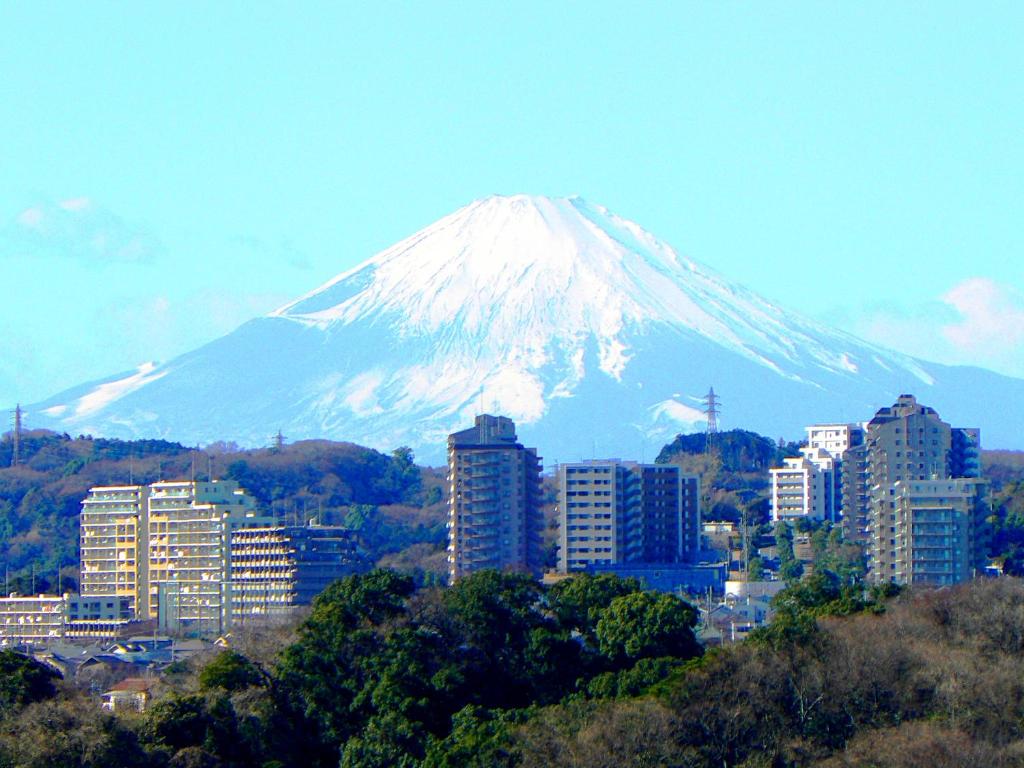 Yokohama Techno Tower Hotel 予約する