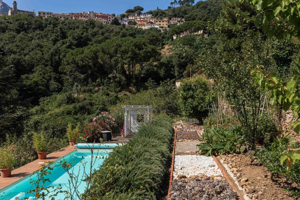 马尔恰纳Villa Shanti - Isola d'Elba的一个带游泳池和山丘的花园