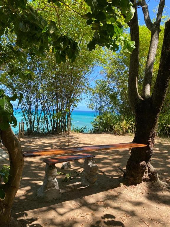 a bench sitting next to a tree in front of the ocean at Flor de Lótus Camping in Japaratinga