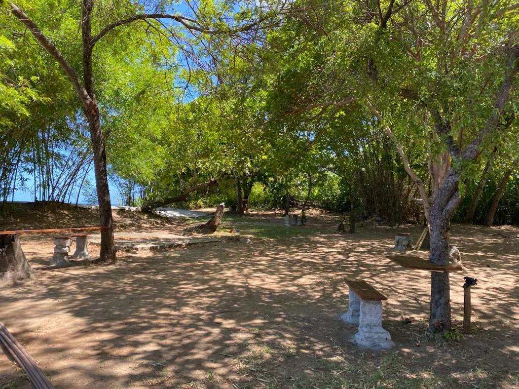 un parco con un mucchio di alberi e panchine di Flor de Lótus Camping a Japaratinga