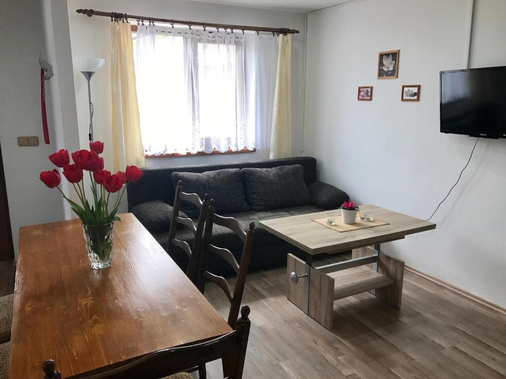 Μια τηλεόραση ή/και κέντρο ψυχαγωγίας στο Beautiful, quiet apartment in the Boehm Switzerland