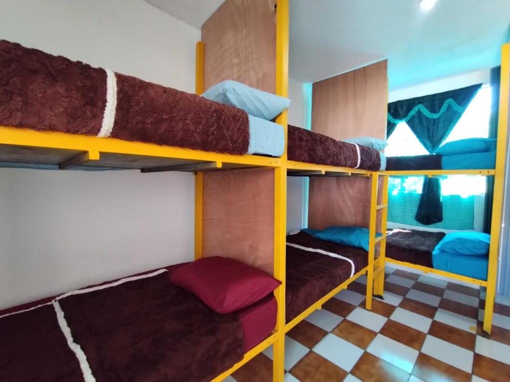 Nawal Hostel في سانتا كروز لاغونا: غرفة مع ثلاثة أسرة بطابقين في غرفة