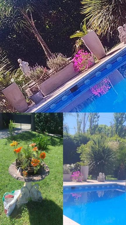 Casa Quinta con pileta Tortuguitas Bs As