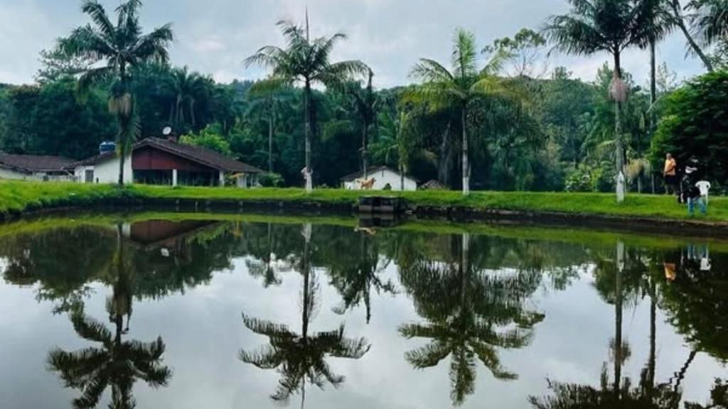 a reflection of palm trees in a body of water at Vila de Casas de Campo Rústica e Aconchegante na Mata Atlântica in Juquitiba