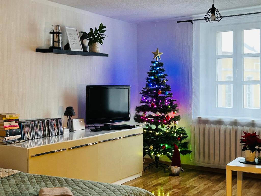 a christmas tree in a living room with a tv at Duży apartament z kuchnią i łazienką w centrum Namysłowa in Namysłów