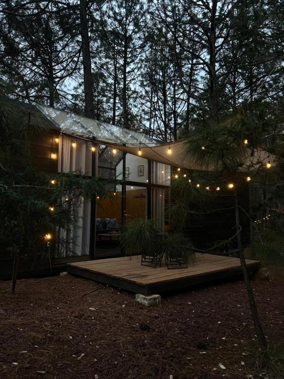 a house with lights on it in the woods at BosqueCielo Cabañas Diseño Natural Arte Galeria in Huasca de Ocampo