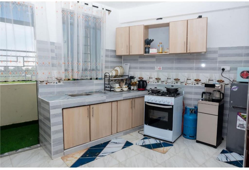 ALPHAROSE SUITES, Nursan Muthaiga Homes في نانيوكي: مطبخ مع حوض وموقد