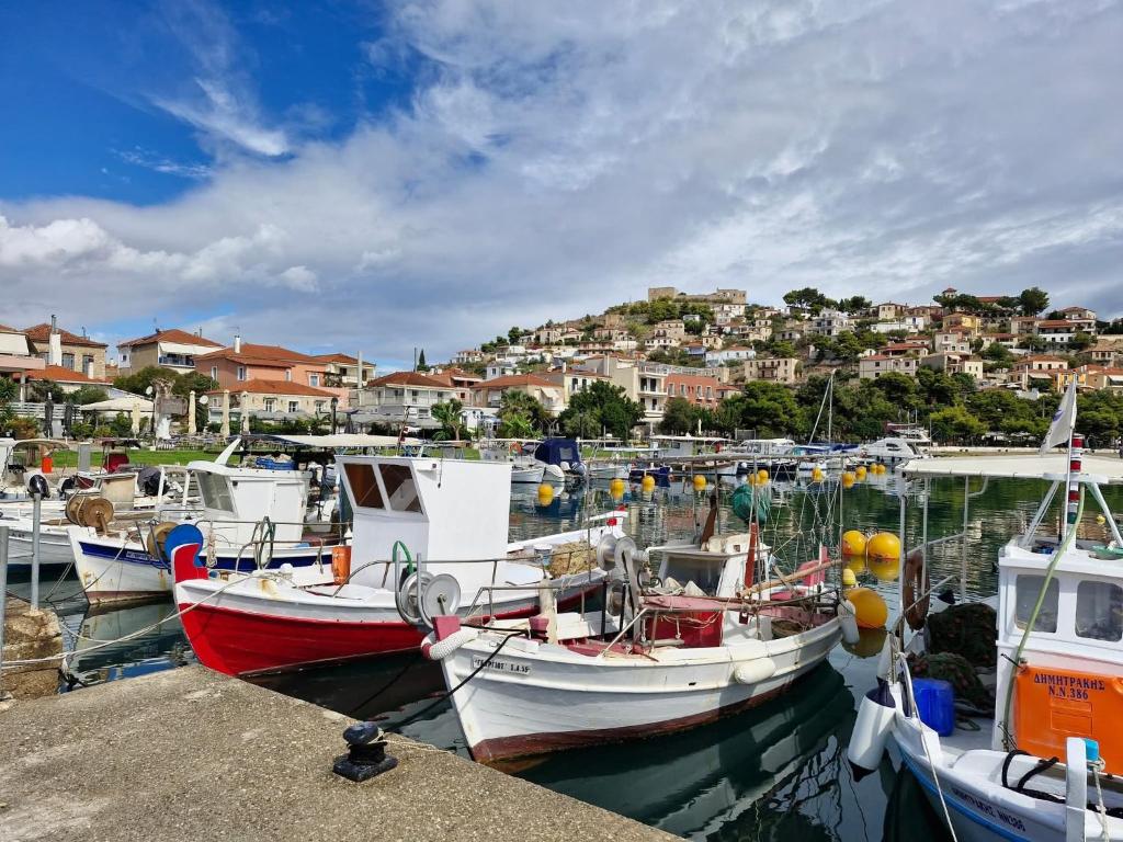 a group of boats are docked in a harbor at Paralio Place in Paralion astros