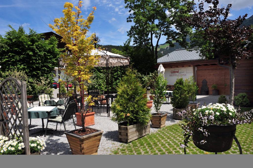 Zahrada ubytování Hotel Central