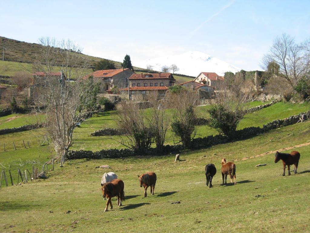 a group of cows walking in a field at Apartamentos Rurales Colsa in Colsa
