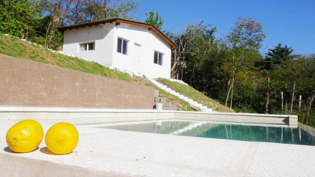 two lemons sitting on the edge of a swimming pool at Wandritu in Río Ceballos