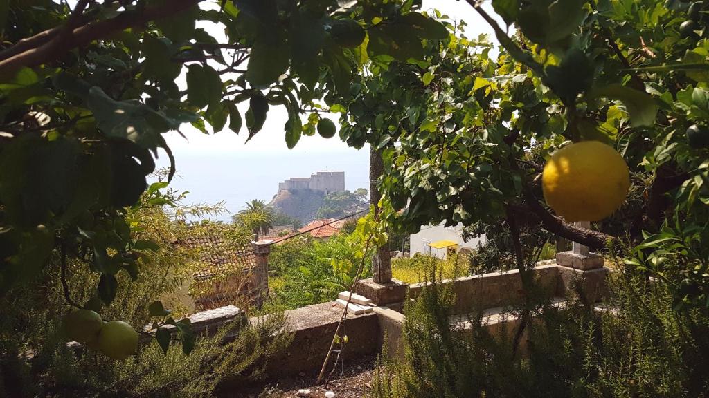 Φυσικό τοπίο κοντά σε αυτός ο ξενώνας