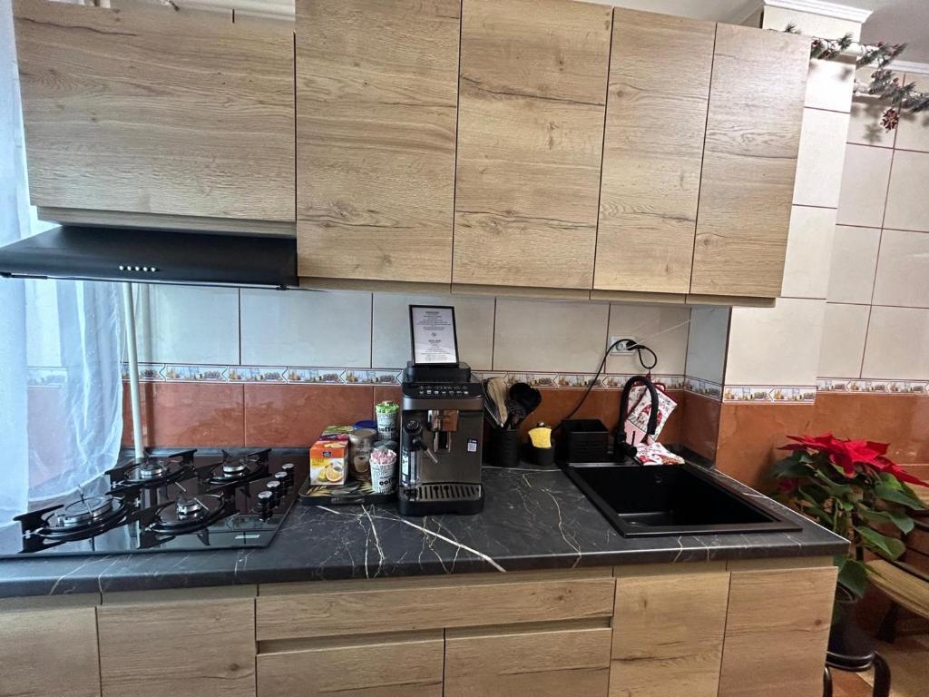 eine Küche mit Spüle und Arbeitsplatte in der Unterkunft Apartament Central Ilie Balaci 15 in Craiova