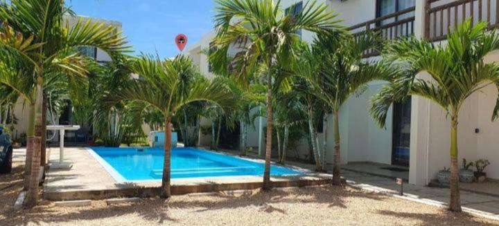 a swimming pool with palm trees in front of a building at Oasis Apartment in Pereybere