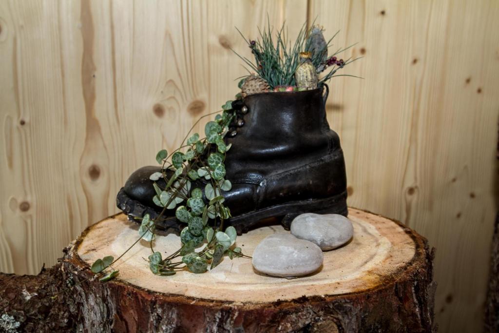 Foto sihtkohas Elm asuva majutusasutuse Berghotel Bischofalp galeriist