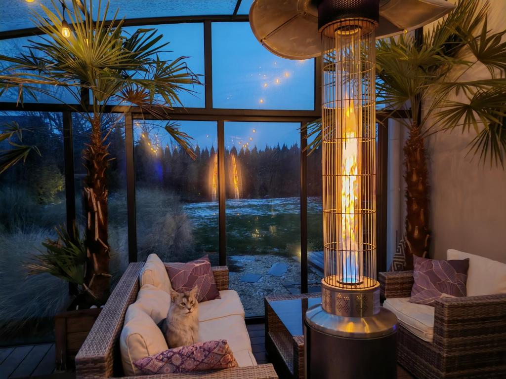 kot siedzący na kanapie w pokoju z dużym oknem w obiekcie Strefa ZEN z Jacuzzi i Basenem w mieście Żerniki Wroctawskie