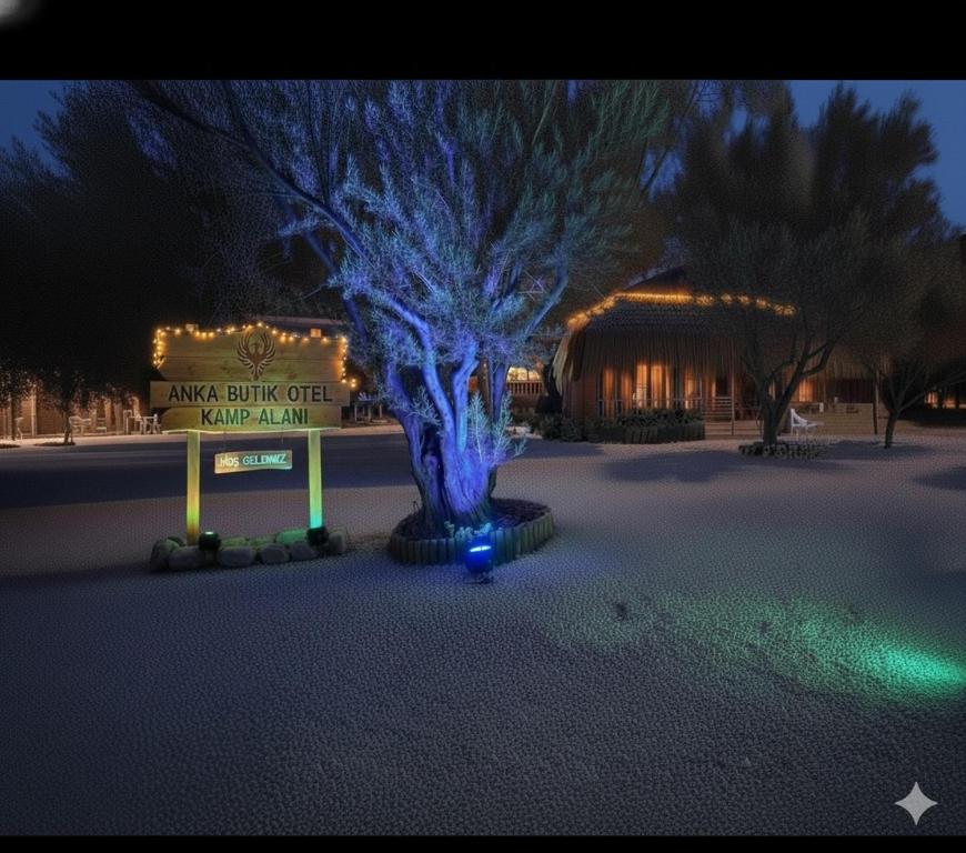 Φωτογραφία από το άλμπουμ του Anka butik otel camping σε Ayvacık