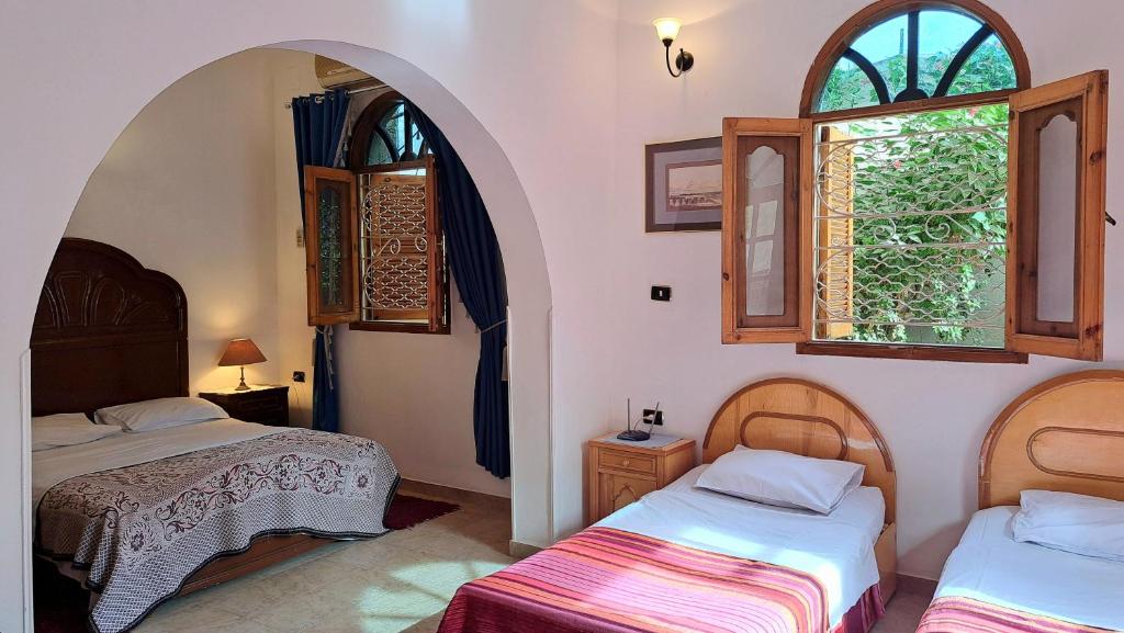 卢克索Villa Belzoni的带两张床和两个窗户的房间