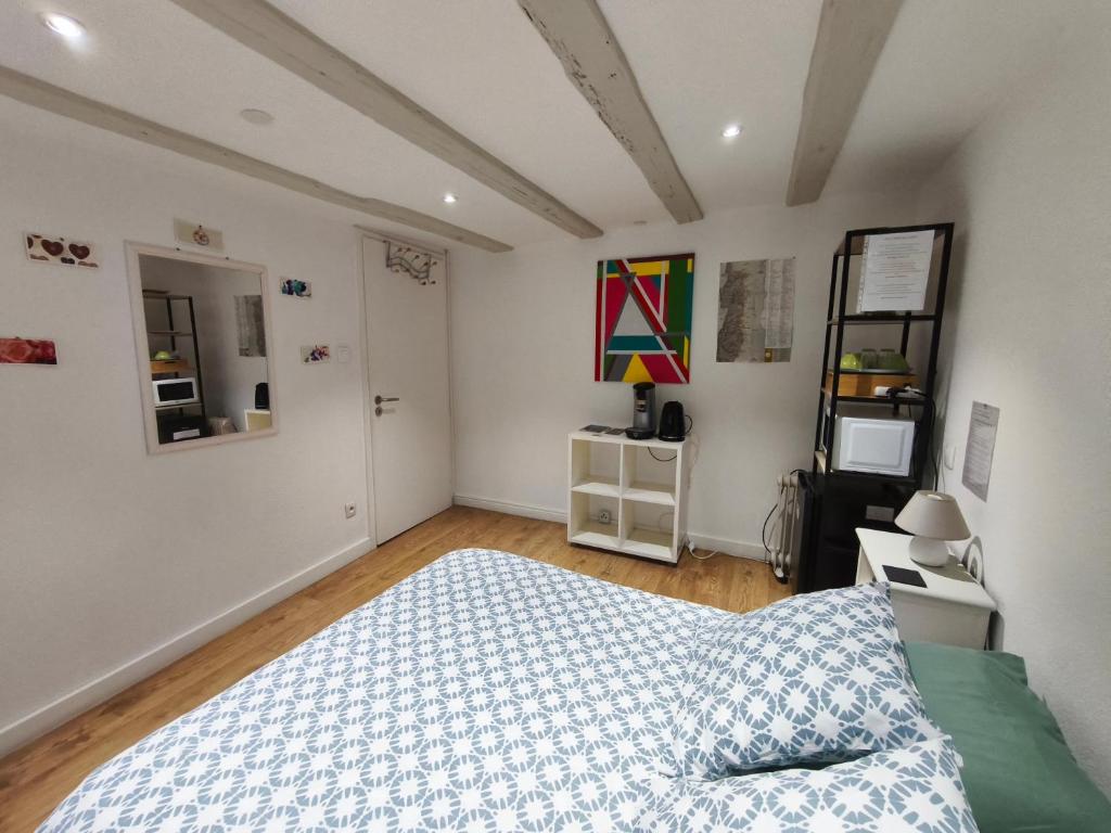 Chambre chez l'habitant - Centre historique - Salle d'eau et WC privés – photo 3