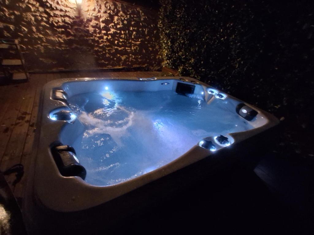 AndillacLe SPA d'Adélaïde son jacuzzi privé的室内装满水的浴缸