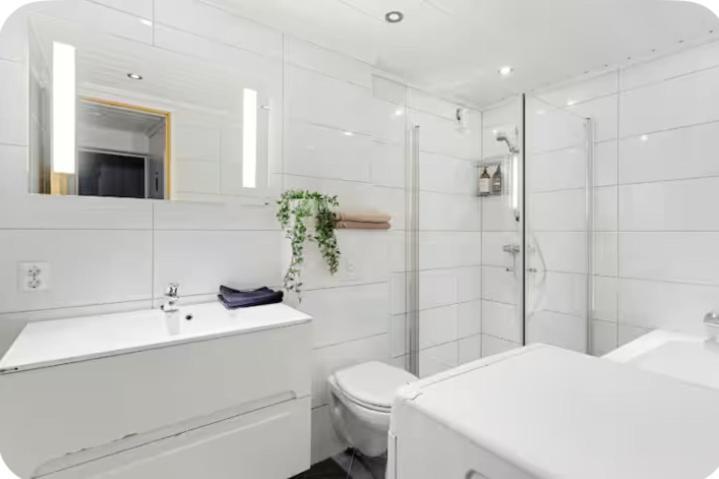 Koupelna v ubytování apartment on the first floor of the house