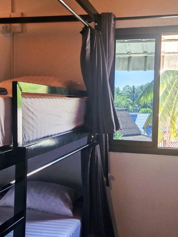 Closca Hostel Koh Tao - 19