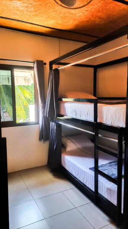 Closca Hostel Koh Tao - 13