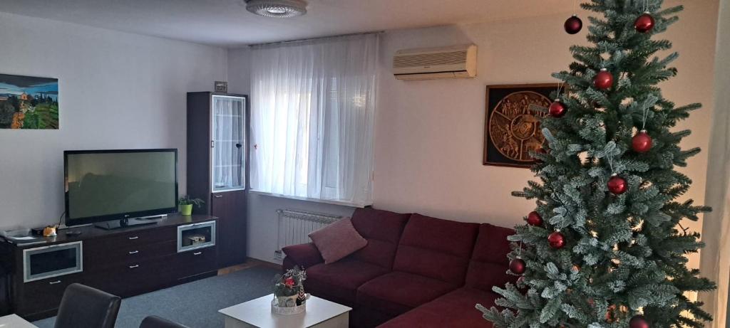 Apartman SPES