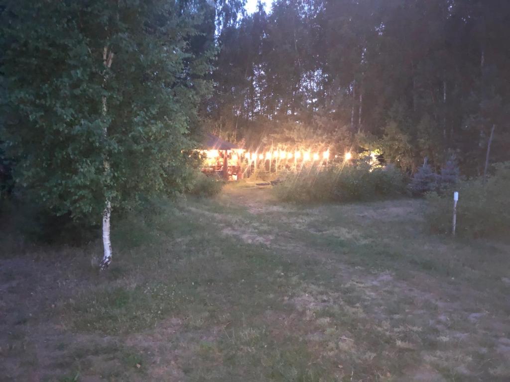 a nighttime view of a yard with a tree and lights at Kemping przy Suntago in Lublinów