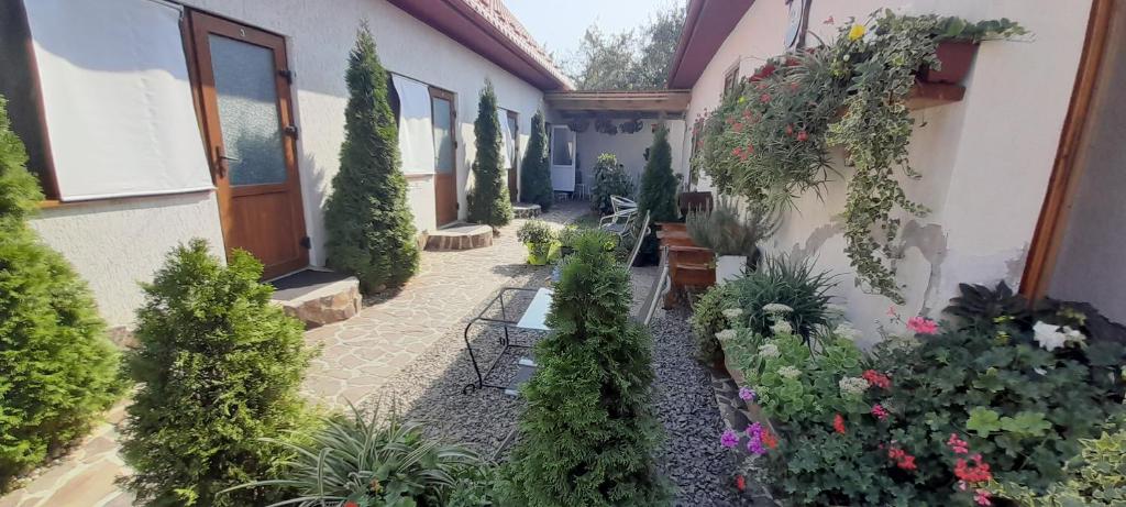 Κήπος έξω από το KOMFORT