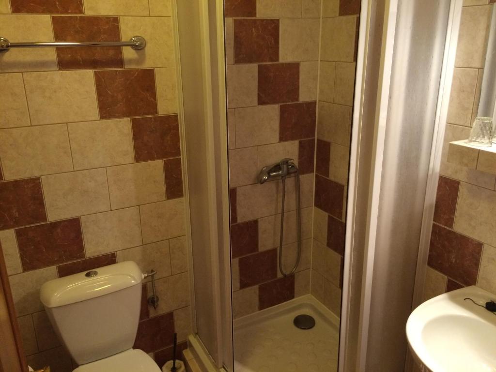 łazienka z toaletą, prysznicem i umywalką w obiekcie Hotel Filippi w mieście Ždírec nad Doubravkou