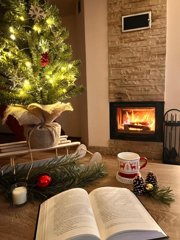 Χώρος καθιστικού στο Solina domki-„Solińskie wzgórze”