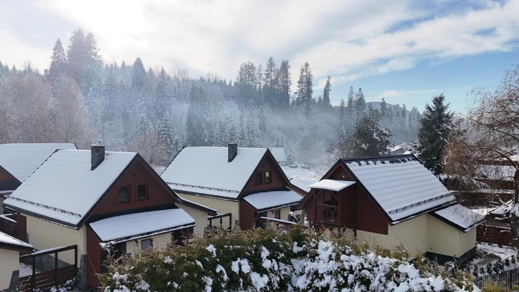 ZłatnaOsada Złatna domki w beskidach的一群屋顶下积雪的房屋